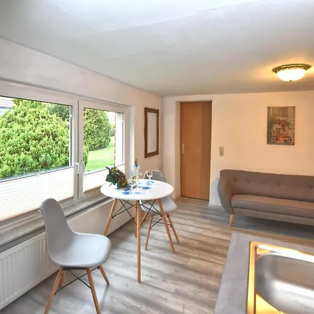 With Terrace In The Harz Mountains Holiday home *